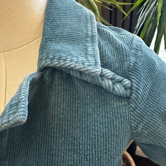 Show Me Your Mumu | Corduroy Mini Zip Up Dress | Medium | Fit and Flare - Picture 9 of 11